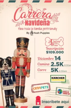 carrera-navidena-pet