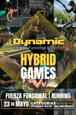 dynamic-hybrid-games