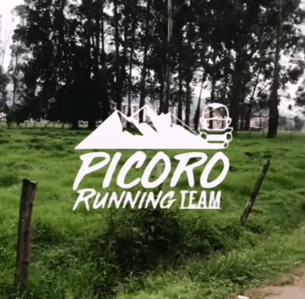 picoro-running-team