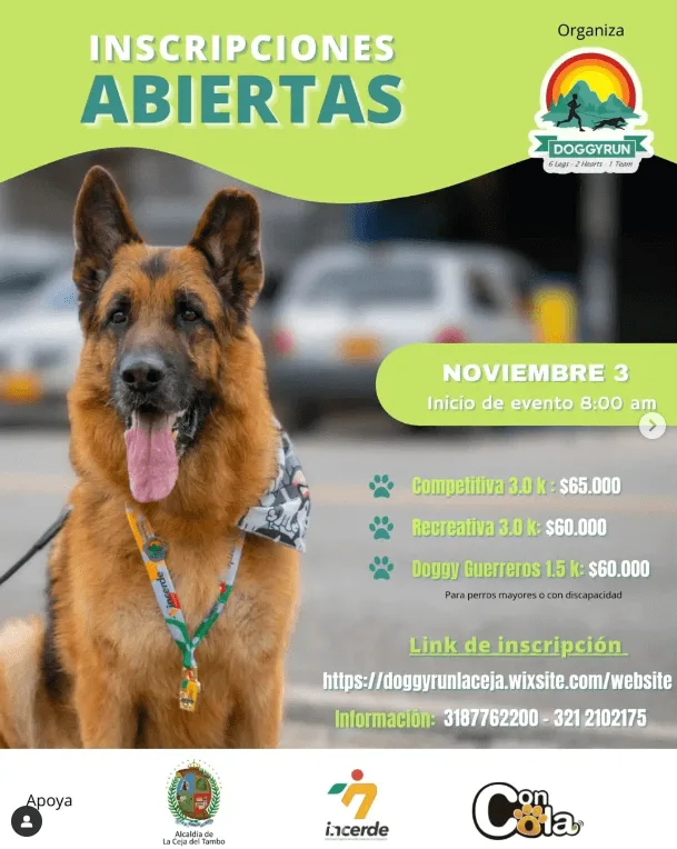 DoggyRun-La-Ceja-2024