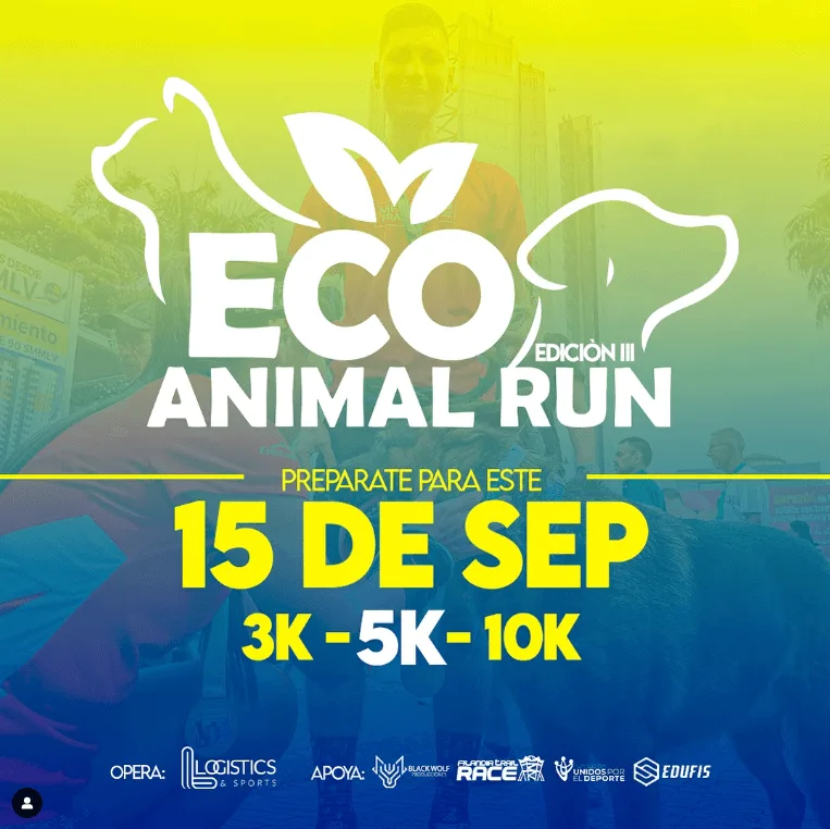 eco-animal-run