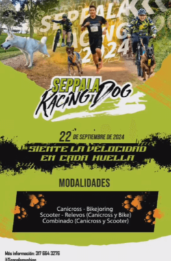 Seppala Racing Dog este 2024