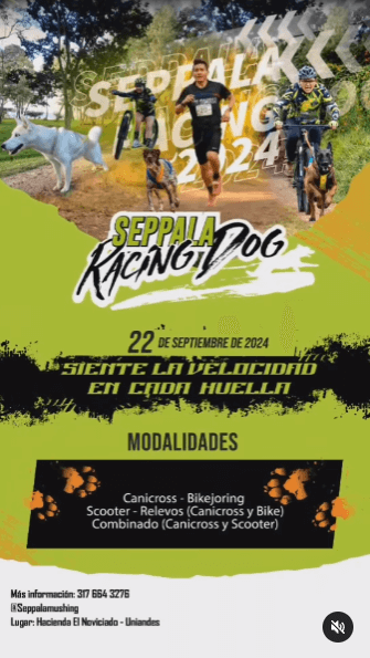 Seppala Racing Dog este 2024