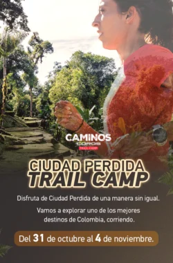 Ciudad-Perdida-Trail-Camp