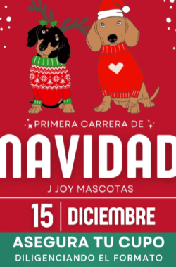 Primera carrera de Navidad (1)