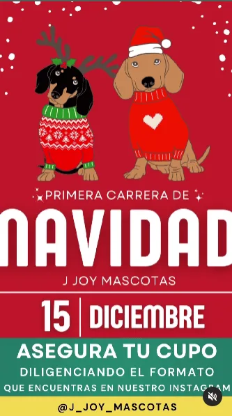 Primera carrera de Navidad (1)