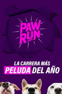 paw-run-carrera-canina