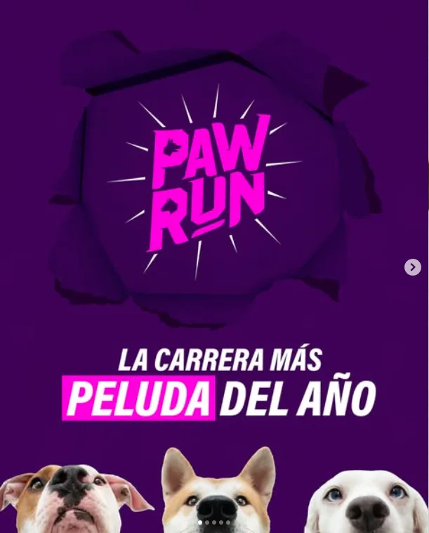 paw-run-carrera-canina