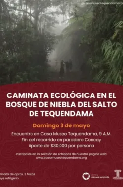 caminata-ecologica-bosque-de-niebla-tequendama