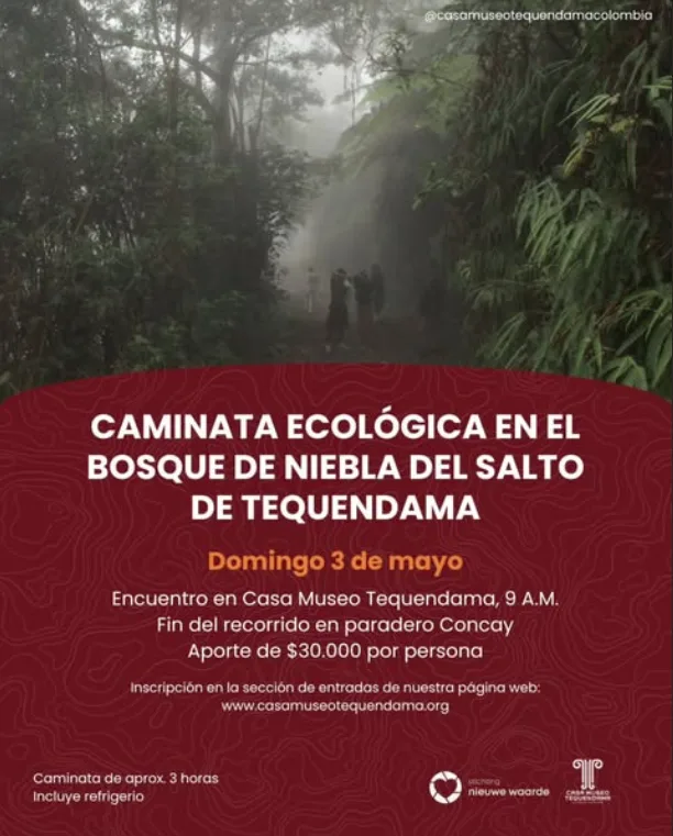 caminata-ecologica-bosque-de-niebla-tequendama