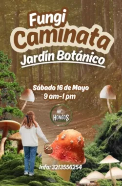 fungi-caminata-jardin-botanico