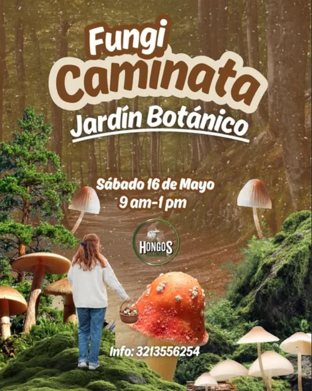 fungi-caminata-jardin-botanico