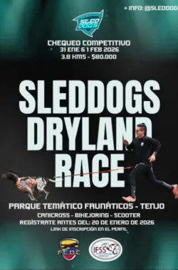 sleddogs-dryland-race