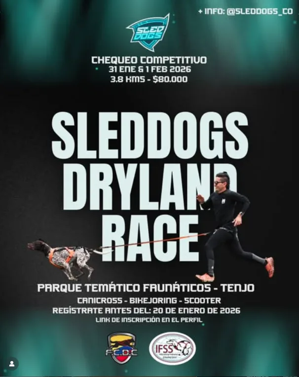 sleddogs-dryland-race