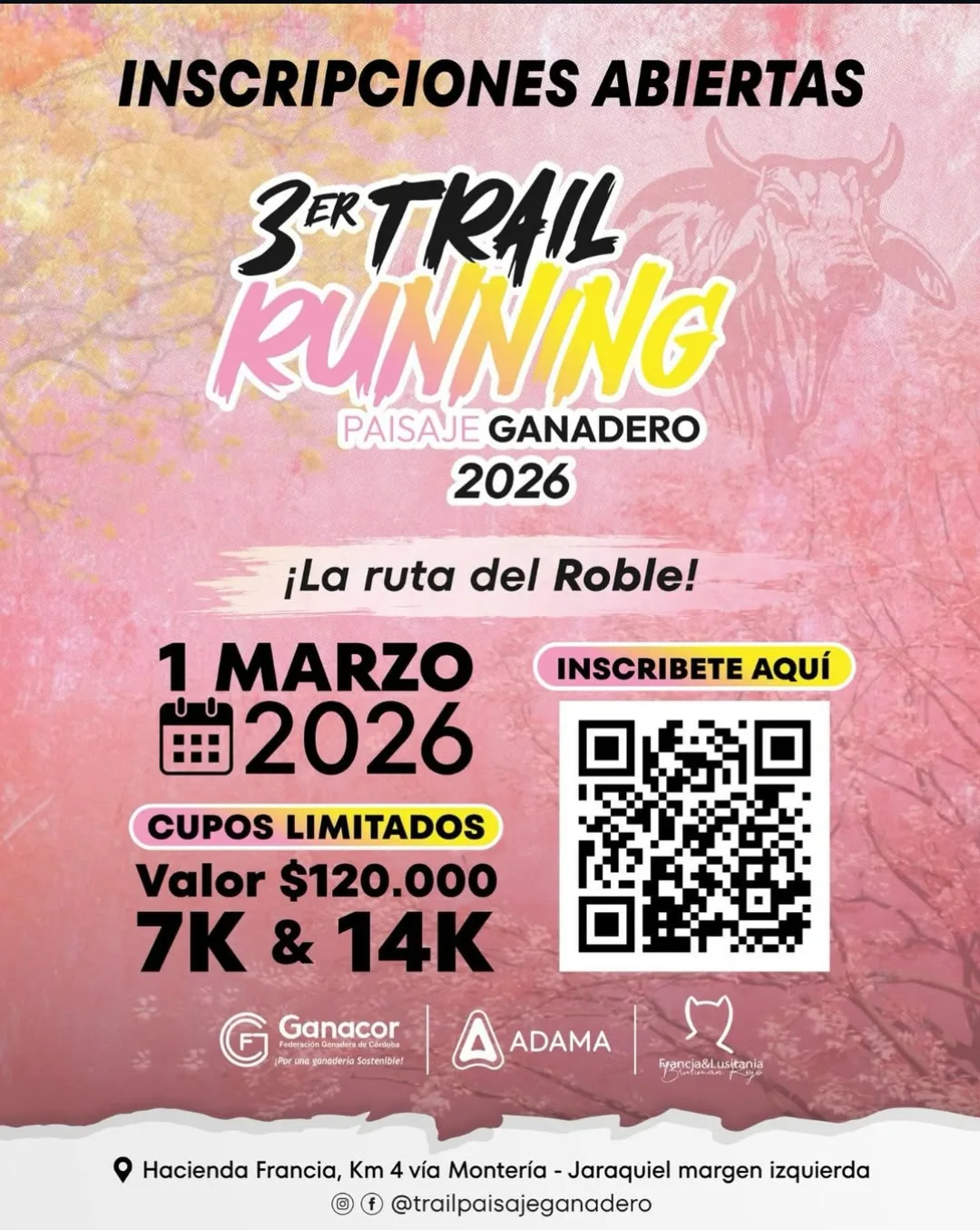 trail-running-paisaje-ganadero