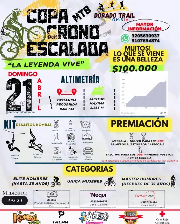 copa-crono-escalada-mtb-dorado