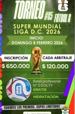 torneo-futbol8-bogota