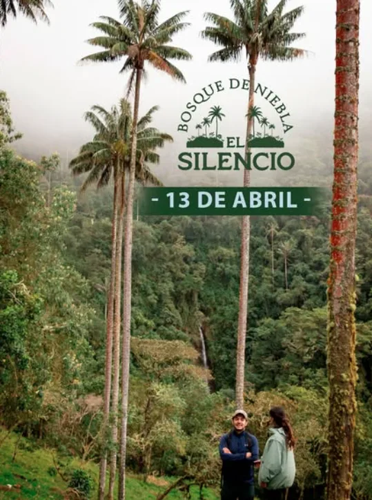 bosque-de-niebla-el-silencio-caminata