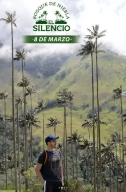 caminata-bosque de niebla-el-silencio