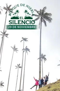 caminata-bosque-de-niebla-el-silencio-noviembre