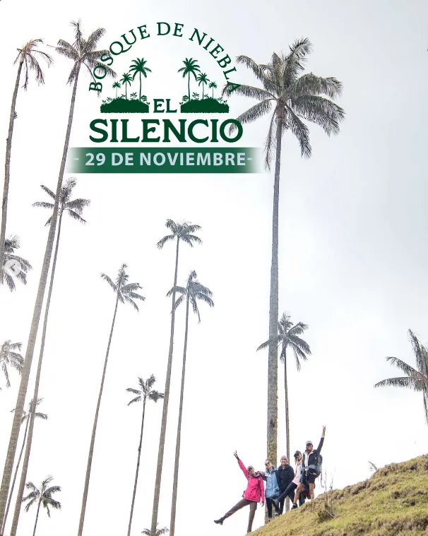 caminata-bosque-de-niebla-el-silencio-noviembre
