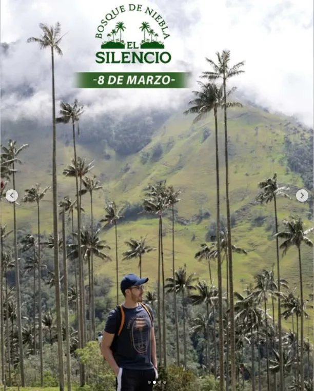 caminata-bosque de niebla-el-silencio