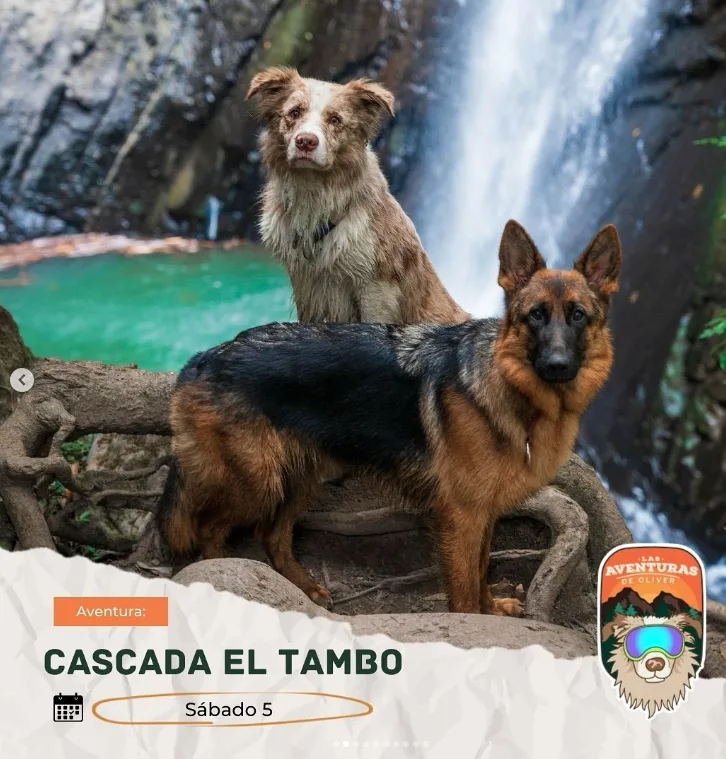 caminata-canicross-cascada-el-tambo