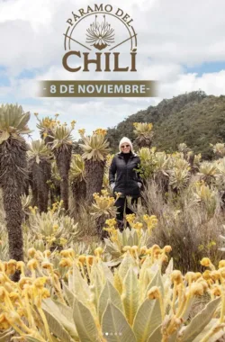 caminata-paramo-de-chili-noviembre