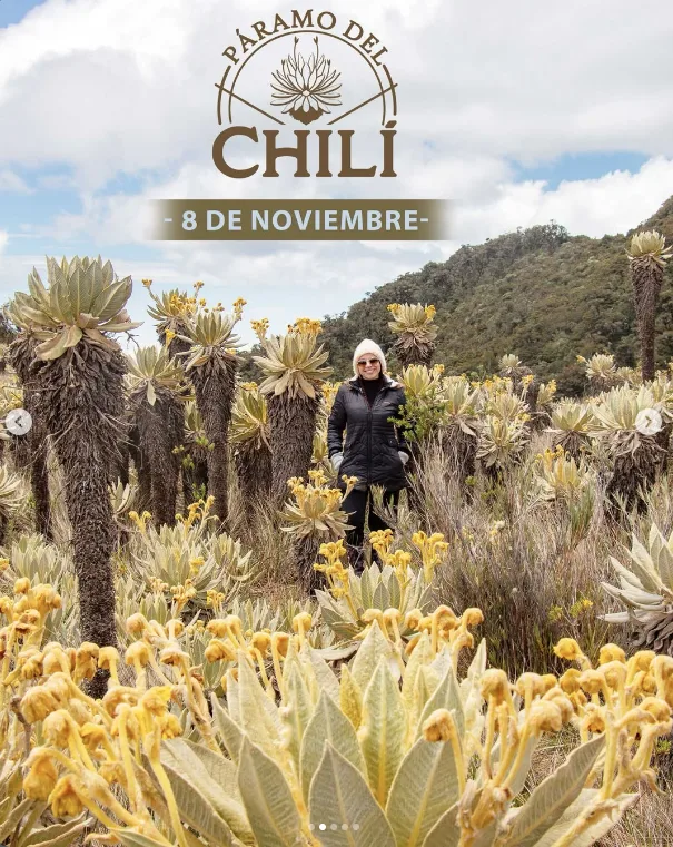 caminata-paramo-de-chili-noviembre