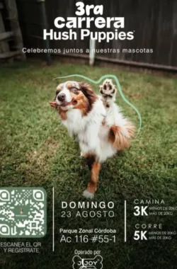 carrera-canina-hush-puppies