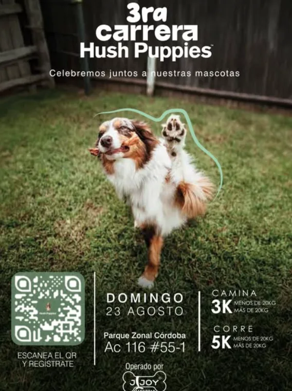 carrera-canina-hush-puppies