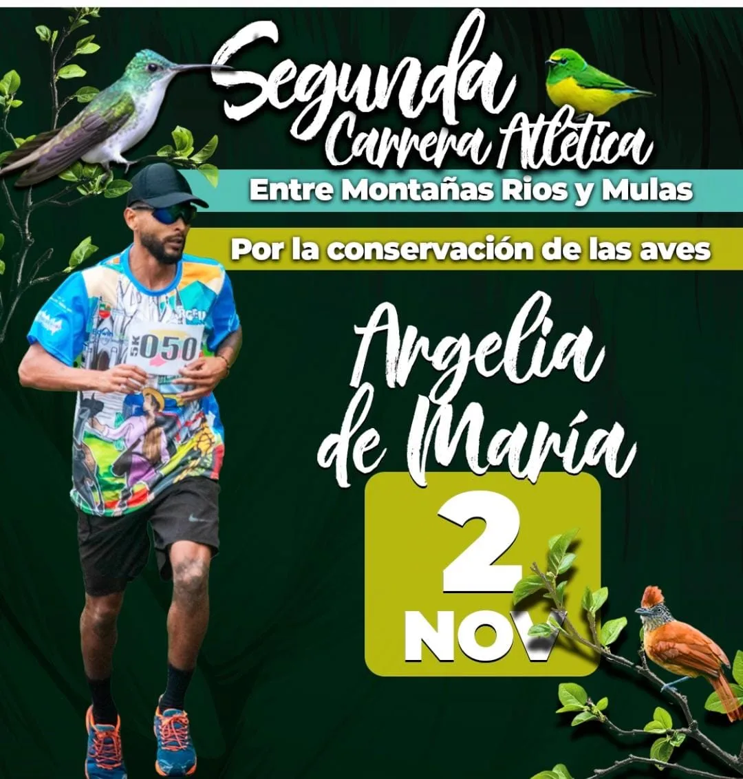 entre-montanas-rios-y-mulas-antioquia