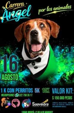 carrera-angel-por-los-animales