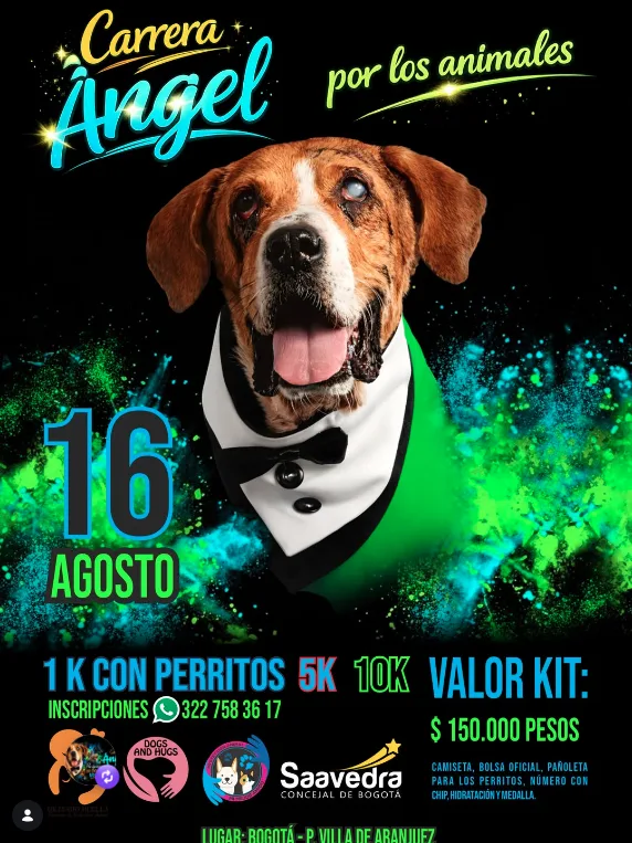 carrera-angel-por-los-animales