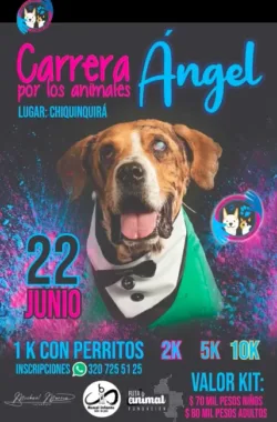 carrera-por-los-animales-angel-chiquinquira