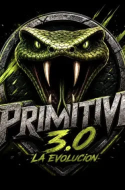 primitive-3-ocr