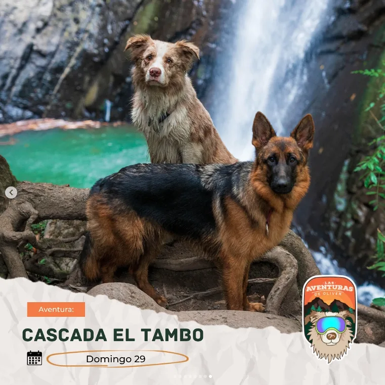 caminata-cascada-el-tambo