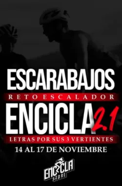 escarabajos-reto-escalador-en-cicla-letras