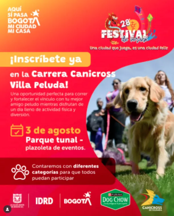 carrera-caninca-festival-de-verano