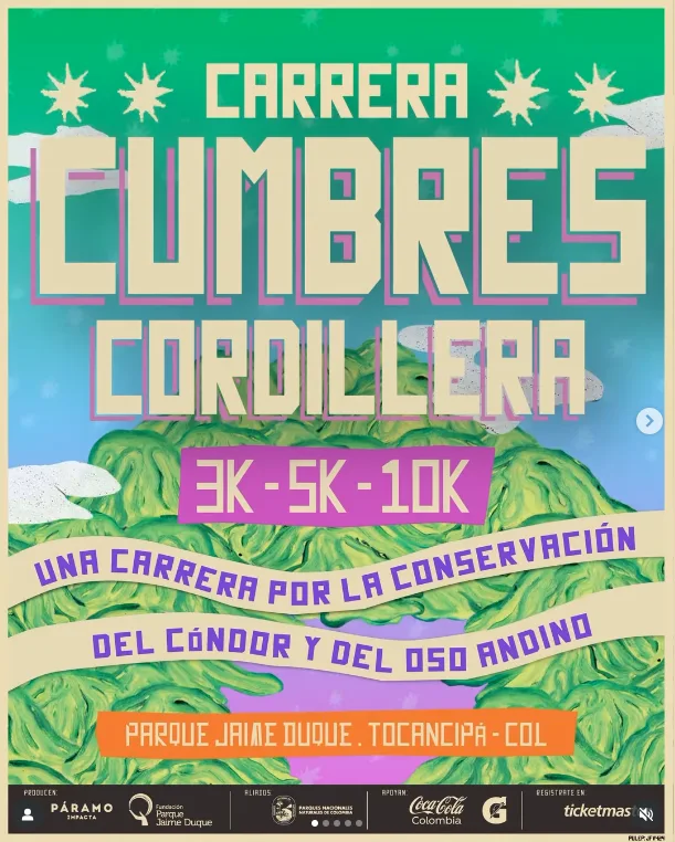 carrera-cumbres-cordillera