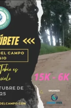 carrera-del-camino