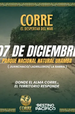 corre-el-despertar-del-mar