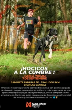 hocicos-a-la-cumbre-canitrail