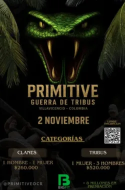 primitive-ocr-villvicencio