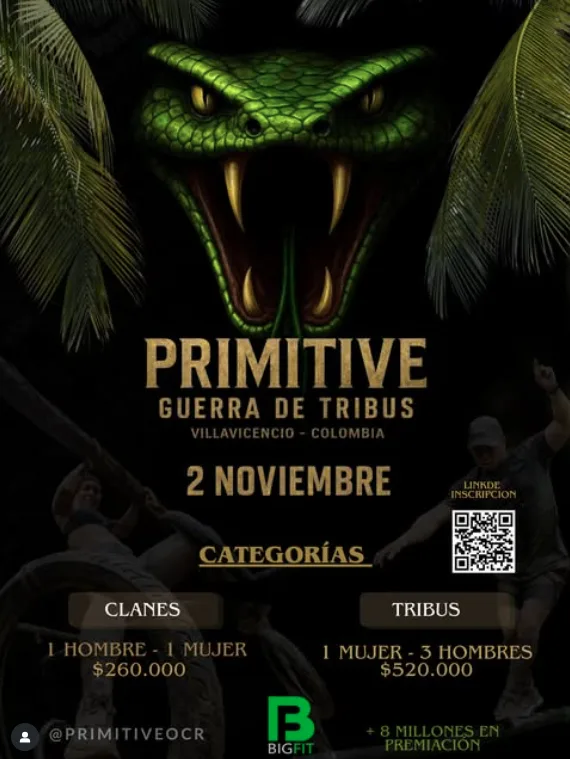 primitive-ocr-villvicencio