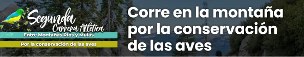 Entre montañas, ríos y mulas