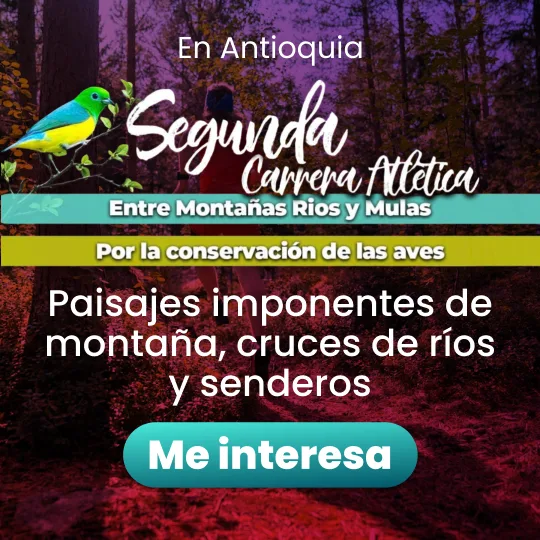 carrera entre montañas rios y mulas antioquia
