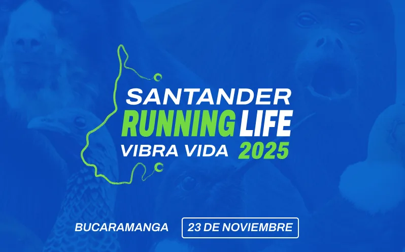 santander-running-life-2025