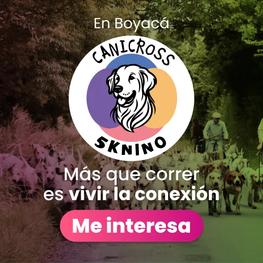 carrera canina en sogamoso boyaca