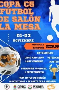 copa-futbol-de-salon-la-mesa